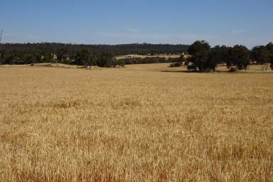 Farm Auction - WA - Lol Gray - 6311 - Premium Location Opportunity  (Image 2)