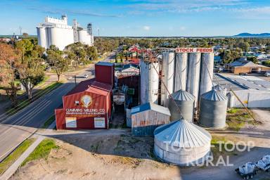 Farm For Sale - SA - Cummins - 5631 - Cummins Milling  (Image 2)