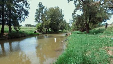 Farm Auction - NSW - Myall Creek - 2403 - 'Glendee'  (Image 2)