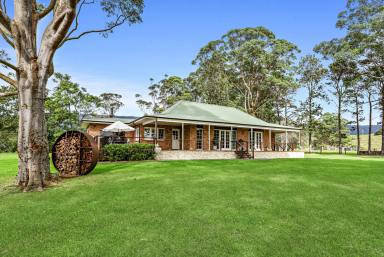 Farm Auction - NSW - Jamberoo - 2533 - 'Cedar Grove'  (Image 2)