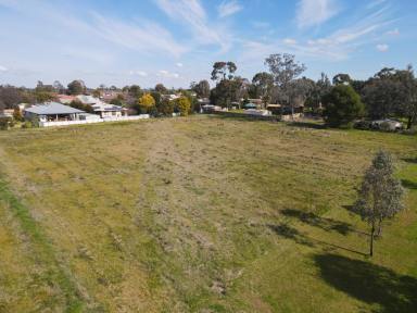 Farm For Sale - NSW - Forbes - 2871 - Raywhite Forbes - 02 6851 1411  (Image 2)