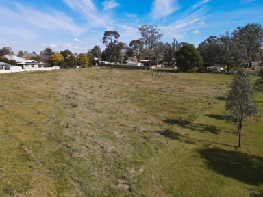 Farm For Sale - NSW - Forbes - 2871 - Raywhite Forbes - 02 6851 1411  (Image 2)