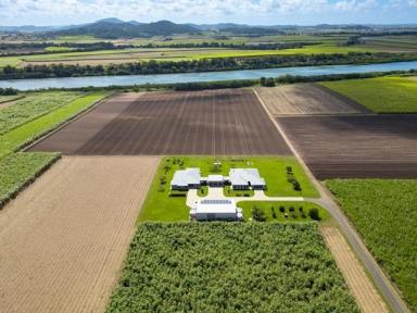 Farm For Sale - QLD - Te Kowai - 4740 - Ultimate Family Lifestyle Estate on the Pioneer River – A Rare Opportunity  (Image 2)