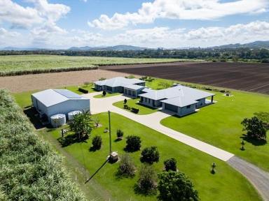 Farm For Sale - QLD - Te Kowai - 4740 - Ultimate Family Lifestyle Estate on the Pioneer River – A Rare Opportunity  (Image 2)