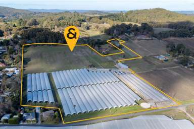 Farm For Sale - SA - Uraidla - 5142 - Adelaide Hills Berry Farms Pty Ltd  (Image 2)