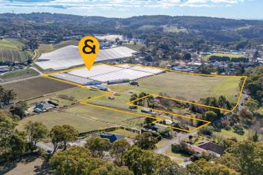 Farm For Sale - SA - Uraidla - 5142 - Adelaide Hills Berry Farms Pty Ltd  (Image 2)