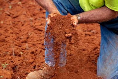 Farm For Sale - NSW - Dorrigo - 2453 - The Best of Rich Red Volcanic Soils in a Sub-Tropical Climate  (Image 2)