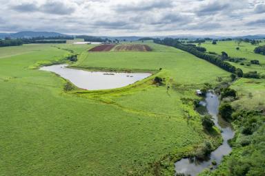 Farm For Sale - NSW - Dorrigo - 2453 - The Best of Rich Red Volcanic Soils in a Sub-Tropical Climate  (Image 2)