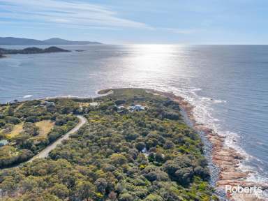 Farm Sold - TAS - Bicheno - 7215 - Nature, Coastal, Tranquil  (Image 2)