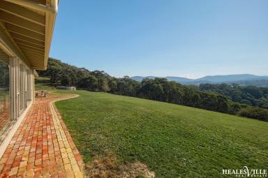 Farm For Sale - VIC - Chum Creek - 3777 - NEW PRICE  The Good Life awaits...  (Image 2)