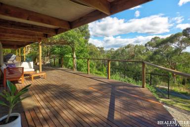 Farm For Sale - VIC - Badger Creek - 3777 - Unicorn Found: Two Homes, Two Addresses, One Incredible Property  (Image 2)