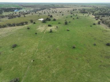 Farm Auction - NSW - Trangie - 2823 - Ideal Build Up Block  (Image 2)