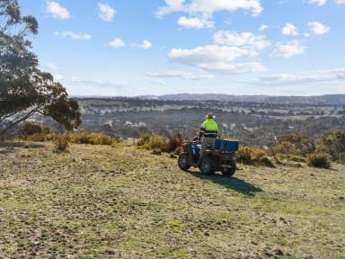 Farm For Sale - NSW - Yass - 2582 - 100 acres 10min From Yass  (Image 2)