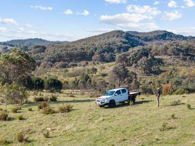 Farm For Sale - NSW - Yass - 2582 - 100 acres 10min From Yass  (Image 2)