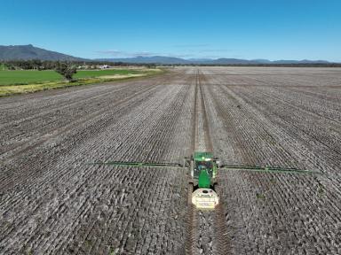 Farm Auction - NSW - Narrabri - 2390 - "Yungella" - Quality Edgeroi District Farm - North West NSW  (Image 2)