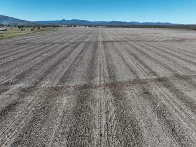 Farm Auction - NSW - Narrabri - 2390 - "Yungella" - Quality Edgeroi District Farm - North West NSW  (Image 2)