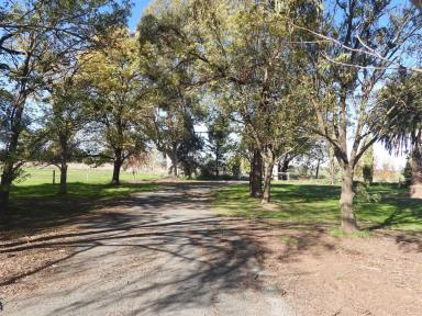 Farm For Sale - VIC - Koyuga - 3622 - Build Your Dream Home Here!  (Image 2)