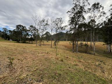 Farm For Sale - NSW - Bundook - 2422 - Tranquility on Gloucester's Doorstep  (Image 2)