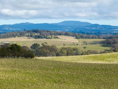 Farm Auction - NSW - Guyong - 2798 - "Bethune East"  (Image 2)