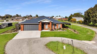 Farm For Sale - VIC - Orbost - 3888 - Perfectly Finished With Country Views  (Image 2)