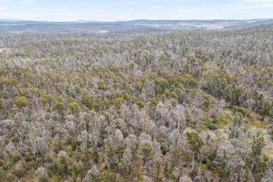 Farm For Sale - TAS - Waddamana - 7030 - Your own piece of wilderness in Tasmania's Central Highlands  (Image 2)