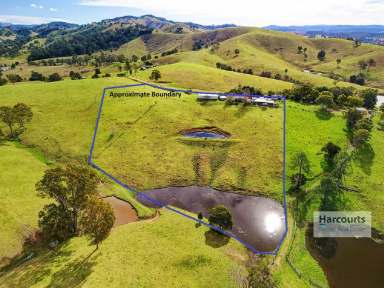 Farm Sold - NSW - Bunyah - 2429 - Bunyah Farmlet  (Image 2)