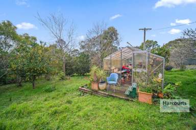 Farm Sold - NSW - Bunyah - 2429 - Bunyah Farmlet  (Image 2)