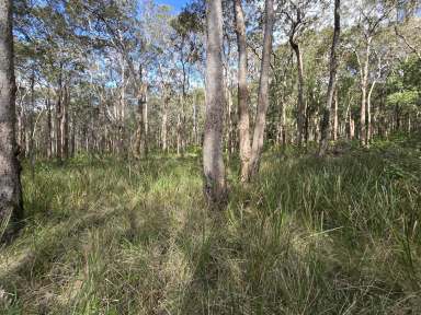 Farm Sold - QLD - Wongabel - 4883 - 8ha Rural Block - 13km to town  (Image 2)