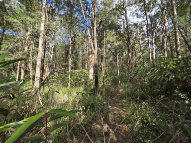 Farm Sold - QLD - Wongabel - 4883 - 8ha Rural Block - 13km to town  (Image 2)