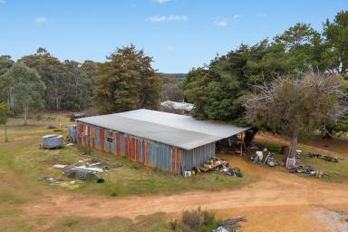 Farm For Sale - NSW - Mudgee - 2850 - Spacious Acreage Retreat  (Image 2)