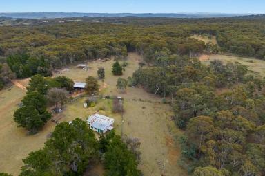 Farm For Sale - NSW - Mudgee - 2850 - Spacious Acreage Retreat  (Image 2)