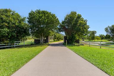 Farm For Sale - QLD - Port Douglas - 4877 - Paradise Found - 18 Ferrero Rd, Port Douglas  (Image 2)