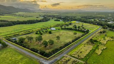 Farm For Sale - QLD - Port Douglas - 4877 - Paradise Found - 18 Ferrero Rd, Port Douglas  (Image 2)