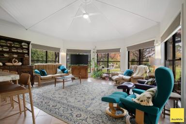 Farm For Sale - NSW - Armidale - 2350 - Fantastic Family Home - So Much To Offer  (Image 2)