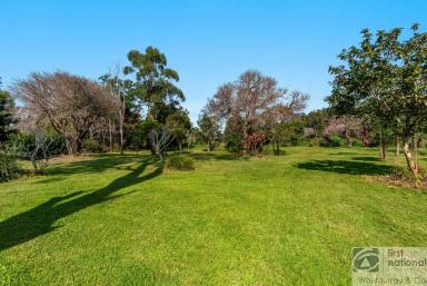 Farm For Sale - NSW - Monaltrie - 2480 - OPPORTUNITY AWAITS  (Image 2)