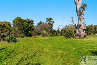 Farm For Sale - NSW - Monaltrie - 2480 - OPPORTUNITY AWAITS  (Image 2)