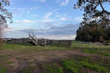 Farm For Sale - WA - Narrikup - 6326 - Good Block Here!  (Image 2)