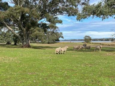 Farm Expressions of Interest - SA - Wangary - 5607 - Wangaree  (Image 2)