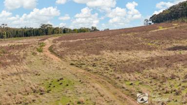 Farm For Sale - NSW - Gulgong - 2852 - RURAL RETREAT WITH STUNNING VIEWS  (Image 2)