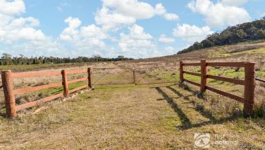 Farm For Sale - NSW - Gulgong - 2852 - RURAL RETREAT WITH STUNNING VIEWS  (Image 2)