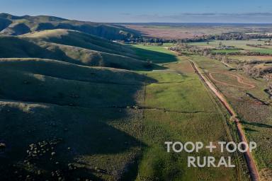 Farm For Sale - SA - Sanderston - 5237 - Fine Wool Country  (Image 2)