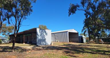 Farm Sold - NSW - Tottenham - 2873 - A Shed For Every Occasion, Fantastic Package Deal  (Image 2)