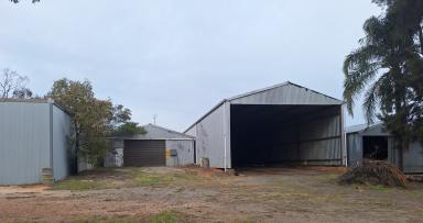 Farm Sold - NSW - Tottenham - 2873 - A Shed For Every Occasion, Fantastic Package Deal  (Image 2)