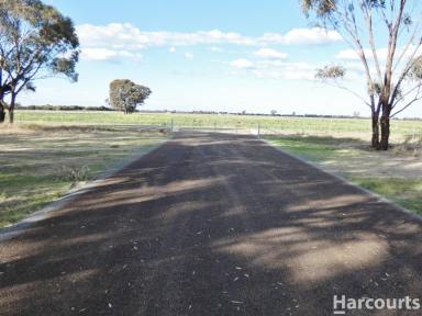 Farm For Sale - VIC - Haven - 3401 - Your new Lifestyle homesite  (Image 2)