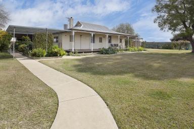 Farm For Sale - VIC - Woorinen - 3589 - Your own little Paradise.  (Image 2)