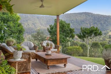 Farm For Sale - NSW - Green Pigeon - 2474 - Stylish Off-Grid Living  (Image 2)