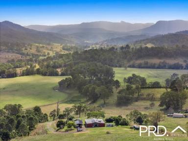 Farm For Sale - NSW - Green Pigeon - 2474 - Stylish Off-Grid Living  (Image 2)