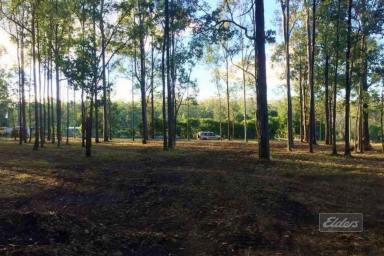 Farm For Sale - QLD - Glenwood - 4570 - PICTURE PERFECT PRIVATE BLOCK  (Image 2)