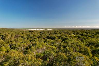 Farm For Sale - WA - Bremer Bay - 6338 - Double Views on Point Henry  (Image 2)