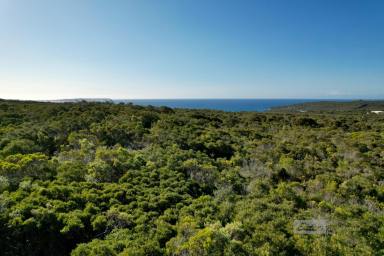 Farm For Sale - WA - Bremer Bay - 6338 - Double Views on Point Henry  (Image 2)